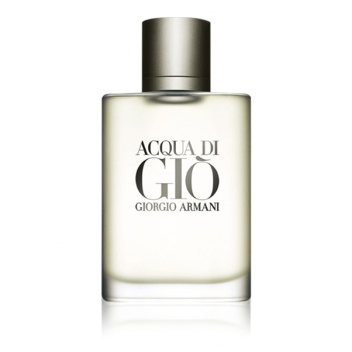 ARMANI ACQUA DI GIO EDT 100 ML