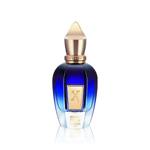 XERJOFF MORE THAN WORDS EDP 100ML